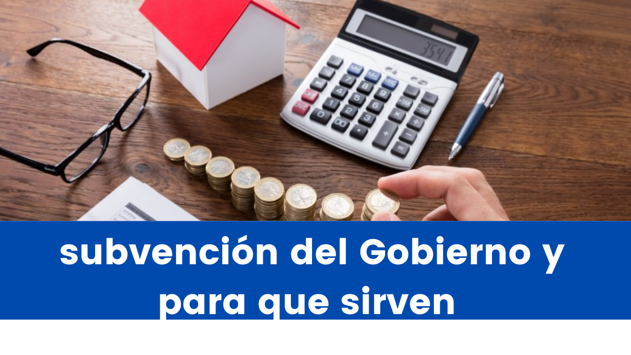 Read more about the article Qué es una subvención del Gobierno y para que sirven