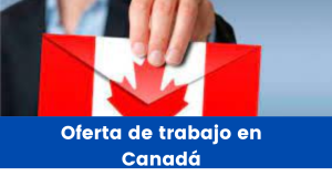 Read more about the article Cómo conseguir una oferta de trabajo en Canadá