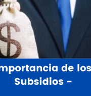 Importancia de los Subsidios – Ventajas y Desventajas